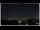 Webcam in Bellaria-Igea Marina, 1.5 km