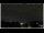 Webcam in Bellaria-Igea Marina, 1.6 km