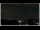 Webcam in Bellaria-Igea Marina, 0.5 km