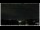 Webcam in Bellaria-Igea Marina, 5.7 km