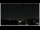 Webcam in Bellaria-Igea Marina, 0.1 km entfernt