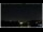 Webcam in Bellaria-Igea Marina, 0.5 km