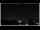 Webcam in Bellaria-Igea Marina, 4.7 km