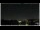 Webcam in Bellaria-Igea Marina, 5 km