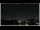 Webcam in Bellaria-Igea Marina, 5.8 km