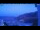 Webcam in Antikyra, 108.1 km