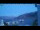 Webcam in Antikyra, 20.6 mi away