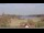 Webcam in Röbel (Müritz), 6.9 mi away