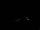 Webcam in Pfarrwerfen, 1.1 mi away