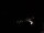 Webcam in Pfarrwerfen, 1.4 km