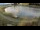 Webcam in Scheffau am Wilden Kaiser, 2 mi away