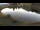 Webcam in Scheffau am Wilden Kaiser, 5.1 km entfernt