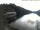 Webcam in Tristach, 3 mi away