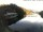 Webcam in Tristach, 3.4 km