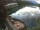 Webcam in Tristach, 7.6 km