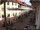 Webcam in Waldshut-Tiengen, 8.3 mi away