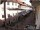 Webcam in Waldshut-Tiengen, 7 mi away