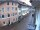 Webcam in Waldshut-Tiengen, 17.3 km entfernt
