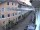 Webcam in Waldshut-Tiengen, 18.9 km