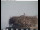 Webcam in Gengenbach, 8.2 km entfernt