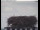 Webcam in Gengenbach, 10.6 mi away