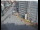 Webcam in Gengenbach, 30 km