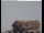 Webcam in Gengenbach, 9.7 mi away