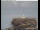 Webcam in Gengenbach, 32.5 km