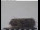 Webcam in Gengenbach, 28.7 km entfernt