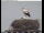 Webcam in Gengenbach, 6.2 mi away