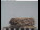 Webcam in Gengenbach, 20.5 km entfernt