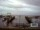 Webcam in Elisabeth-Sophien-Koog, 4 mi away