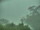 Webcam in Linley Point, 739.6 km entfernt