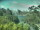 Webcam in Linley Point, 19.4 km entfernt