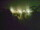 Webcam in Linley Point, 60 mi away