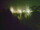 Webcam in Linley Point, 280.9 mi away