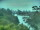 Webcam in Linley Point, 2.7 mi away