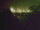 Webcam in Linley Point, 674.8 km