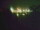 Webcam in Linley Point, 448.8 mi away