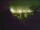 Webcam in Linley Point, 11.9 mi away
