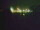 Webcam in Linley Point, 719.5 km