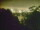 Webcam in Linley Point, 194.3 mi away