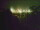 Webcam in Linley Point, 669.5 km