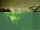 Webcam in Linley Point, 746.4 km