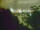 Webcam in Linley Point, 753.2 km entfernt