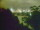 Webcam in Linley Point, 711.8 km