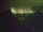 Webcam in Linley Point, 684.8 km entfernt