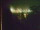 Webcam in Linley Point, 713.3 km