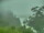 Webcam in Linley Point, 708.9 km entfernt