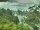 Webcam in Linley Point, 1261.2 km